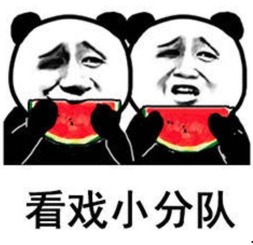 娱乐吃瓜表情包,笑料横生！